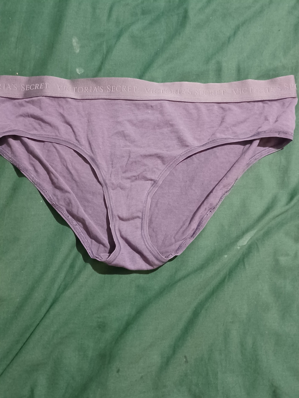 Victoria's Secret Lavender Cotton Bikini Briefs